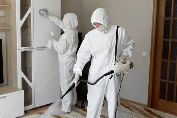24/7 Emergency Odor Removal experts in Courtland, VA