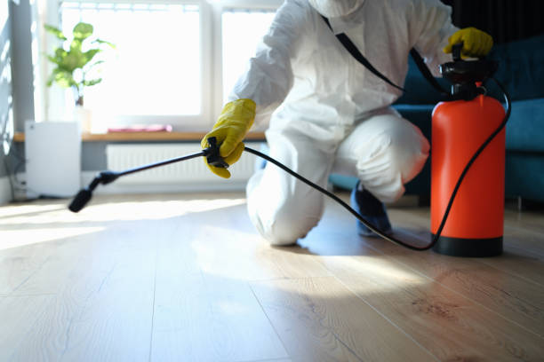 Reliable Odor Removal contractor in Courtland, VA by Dulley Family Biohazard Services